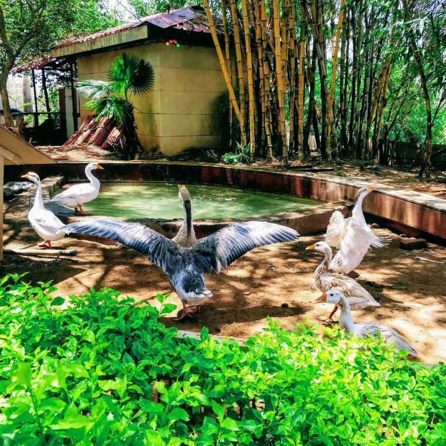 Dew Drops Boutique Retreat Hotel Igatpuri Luaran gambar